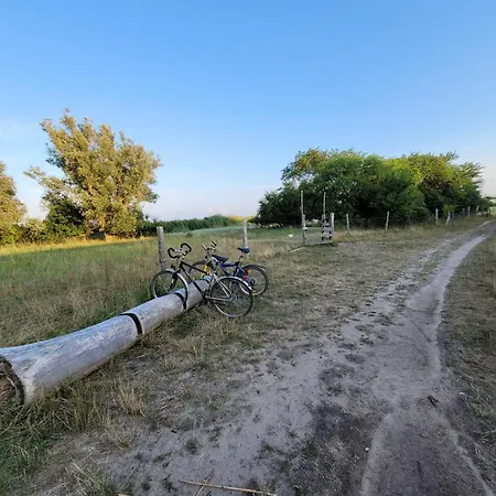 Usedom Familie Stopp Haus 24 Feriehus *